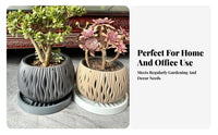 Round Flowerpot Base Thickened Round Pot Base long-lasting for Windowsill, flourishty owners