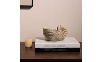 Mineral Conch with Hollow Top Handcrafted Beach Conch Statue Sculptural Decor for Coffee Table