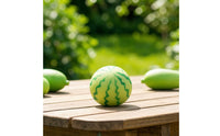 Watermelon Squishy Soft Watermelon Compress Toy Fruit Squishy Stress Relief Slow Rebound Toy Palm-Sized for Fidgeters, Desk