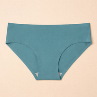Underwear Women Moisture Wicking with Seamless No Show Design, Ladies Knickers in Ice Silk Nylon for Gym and Everyday Wear, Low Waist