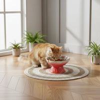 Elevated Strawberry Pet Bowl Anti-Tipping Ceramic Slow Feeder Raised Pattern Tilted Raised Pet Bowl for Cats, Dogs