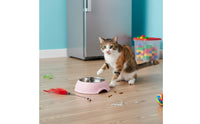 Non-Slip Cat Bowl Stainless Steel Pet Bowl Rust Resistant Stainless Steel Food Bowls for Kittens, Small Dogs