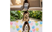 Braided Pet Headpiece Secure Pet Costume Headpiece Stylish for Halloween