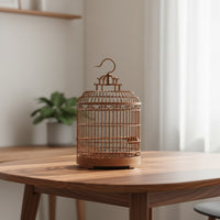 Round Bird Cage Indoor Birdcage Practical for Home