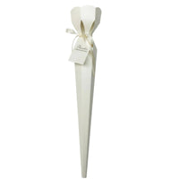 Ice Cream Cone Flower Box Includes Ribbon and Tag Korean Design Floral Cone Reusable Single Blossom Present Box for DIY Crafters, Graduation
