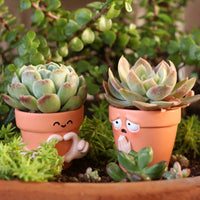 2 Pieces Drainage Hole Heart Hands Flower Pot Resin Material Praying Face Planter Decorative Gift Home Decor Indoor Outdoor Use for Desk