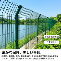 Wire Mesh, Welded Wire Mesh, Animal-Proof Wire Mesh, Plastic Coated, Low Carbon Steel Wire, Double Wire Mesh, Orchard Protection, Livestock Enclosure
