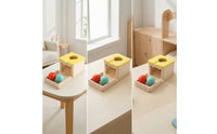 Developmental Shape Sorting Toy Box Multi-Functional Object Permanence Box Early Learning Educational for Toddlers, Babies, Parents, Playroom, Nursery, Classroom