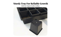 Growing Tray Set Vents Growing Tray Clear View Design Mini Greenhouse for Home Gardeners, Beginners, Balcony