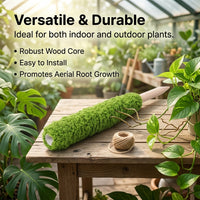 Monstera Plant Support, Wood Plant Support for Vining Plants & Potted Plants, Stackable Plant Pole, Indoor/Outdoor Garden Stakes