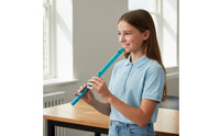 Traditional Whistle Easy to Play Tin Whistle Clear Sound Fipple Flute for Students, Beginners, Practice