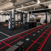 artificial turf