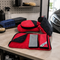 car cleaning kit