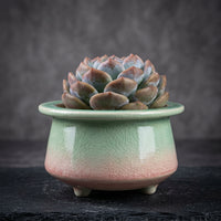 Plant Pots for Indoor Plants and Flower Pots, Glossy Ceramic Pots for Home Office Decor, Round Bonsai Pot or Outdoor Plant Pot