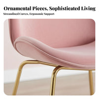 Nordic Design Beetledesign Chair Light Luxury Home Seating Gilded Legs Shell-Shaped Seat for Restaurant Owners, Interior Designers, Dining Room, Bedroom, Kitchen, study alcove
