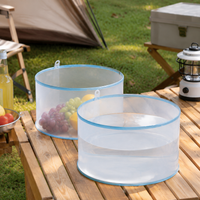 collapsible basin