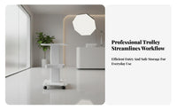 Aesthetic Instrument Trolley Silent Universal Wheels Esthetician Trolley Cart Mobile Spa Cart Thickened ABS Panel
