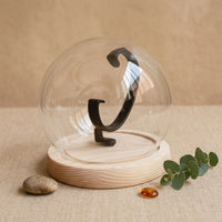 Clear Watch Display Dome Cloche  Showcase Dust Protection Watch Dome Display Lightweight