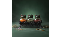 Witchy Seasoning Jar Unique Gift Gothic Frog Seasoning Container for Countertop