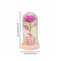 Romantic Gift LED Blossom in Glass Dome Battery Powered Enchanted Blossom Light Eternal Flower Night Light for Mothers, Girlfriend, Women, Mother's Day, Anniversary