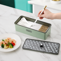 Tabletop Cutlery Case with Lid, Chopstick Holder, Draining, Plastic, Modern Design