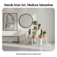 Indoor & Outdoor Use four-tier Corner Plant Stand Floor-Standing Pot Holder Multitiered Design Tiered Shelf Stepped Layout for Gardeners, Apartment Dwellers, homeowners, Balcony, Living Room, Bedroom, Office
