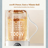 Travel Electric Kettle, Adjustable Temp