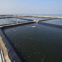 HDPE Geomembrane Roll, 2m×100m, Black, 160g/㎡, Waterproof Sheet, Reservoir Lining, Fish Pond, Waterproof Sheet