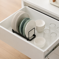 Metal Dish Drying Rack, Sink Organizer with Cutlery Holder, Matte Drip Tray for Kitchen Countertop, Rust-Resistant