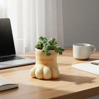 Feline Foot Flower Pot Micro Landscape Decor Cute Cat Foot Planter Creative Small Present Resin Pot for Desktop, Windowsill, Balcony