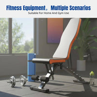 Sit Up Bench, Dumbbell Bench, Multi-Functional Foldable Fitness Chair, Abdominal Exercise Equipment, Adjustable Incline, Home Gym