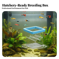 Guppy Breeder Box Two-Way Placement Buoyant Breeder Box Buoyant Aquatic Pet Hatchery High Clearness V-Shaped Divider