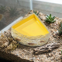 Textured Resin Tortoise Food Bowl and Tortoise Water Bowl, Stable Base Tortoise Bowl for Tortoise Rock-Like Habitat Decor