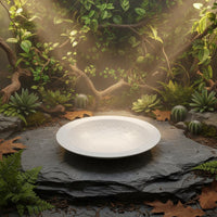 Turtle Bath Basin Low Entry Tortoise Water Bowl with Ramp Tortoise Soaking Dish Anti-Drowning Design Amphibian Water Bowl