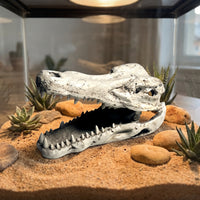 Lifelike Crocodile Skull Hide Weathered Reptile Hide Hollow Terrarium Ornament Long-Lasting for Vivarium