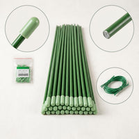 Plant Support Stakes for Indoor Potted Plants, Climbing Vines, and Garden Flowers - Green Coated Steel Rods with Ties and Caps