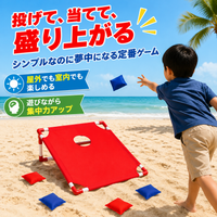 bean bag toss game set