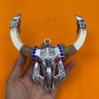 Bovine Cranium Engraved Bovine Cranium Wall Hanging Decorative Ornament for Collectors