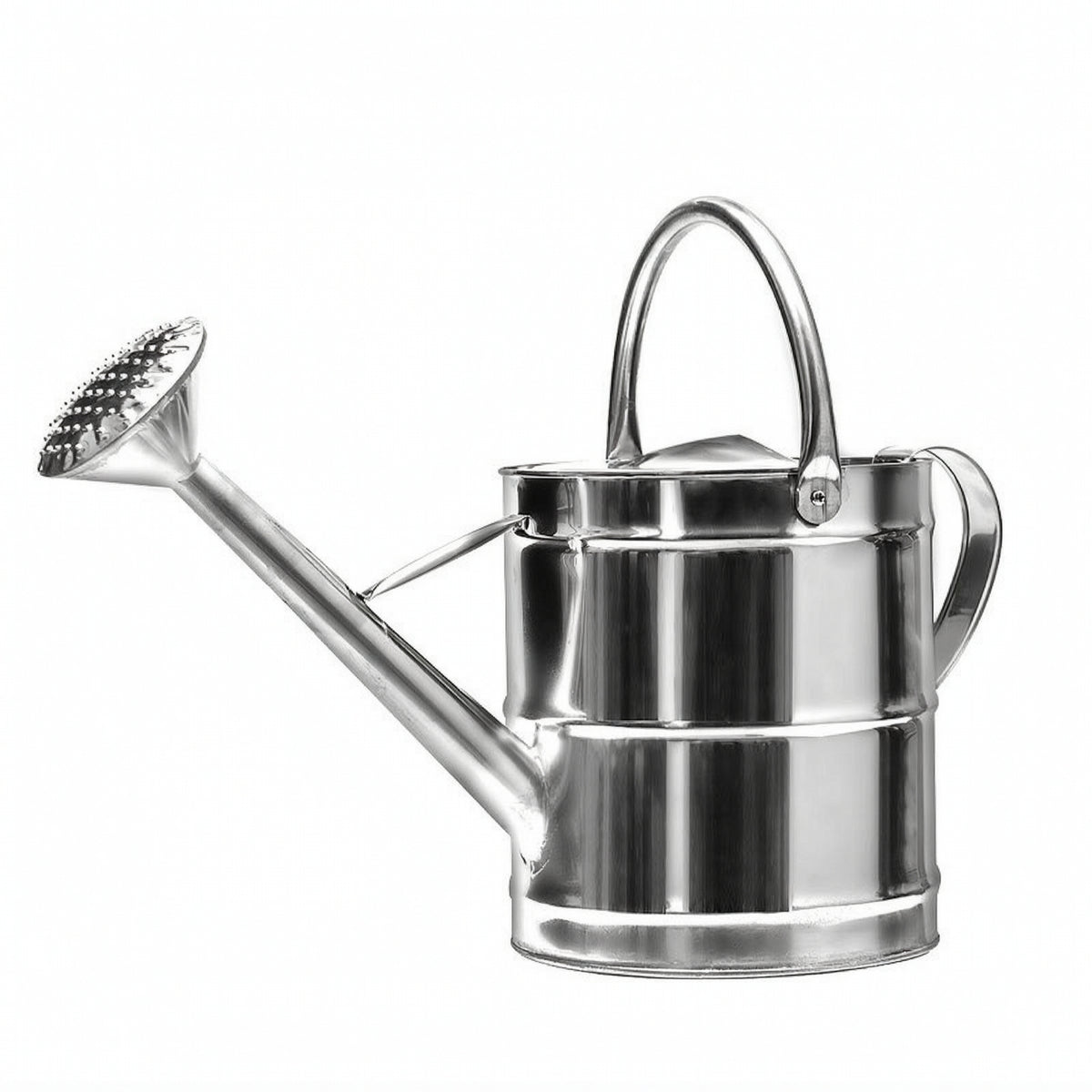Stainless Steel Watering Can Sturdy Long-Spout Watering Can Indoor for Garden