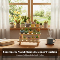 Stair Design Tiered succulent plant Stand Space-Saving Multilevel Display Stand Decorative Plant Holder for Office Workers, Home Decorators, Students, Windowsill, Balcony, Study Room, Countertop