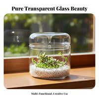 Glass Micro-Landscape Bottle Versatile Micro Landscape Bottle Great Gift Glass Terrarium Jar for Plant Lovers, DIY Enthusiasts, Bedroom, Office, Study