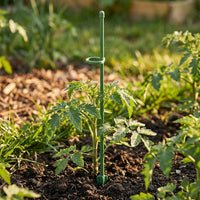 Indoor Plants Garden Stakes for Stable Plant Support, Pack of 48 Adjustable Monstera Support Sticks, 11mm x 40cm Stakes, Included Plant Clips