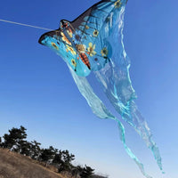 Long Tail Kite Beginner Friendly Vibrant Colors for Family Outings