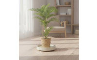 Plant Tray with Wheels Easy to Move Rolling Tray with Wheels Sturdy Furniture Mover for Indoor Garden, Patio