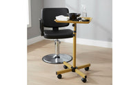 Mobile Tool Stand Stable Base Hair Stylist Tray Stand Adjustable Rolling Salon Tray for Barbers, Estheticians