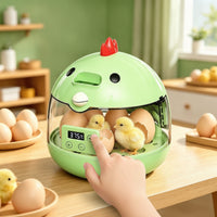 Egg Incubator with Transparent Shell Adjustable Temperature Tabletop Egg Incubator Beginner-Friendly for Beginners, Home Science