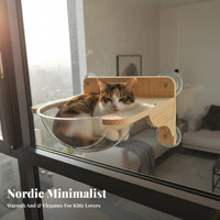 Suction Cup Mounted Window Perch Set Drilltool-Less Modular Feline Climbing Set Space-Saving Pet Furniture Easy Installation for Apartment Dwellers, on Glass Panels, Small Areas, Indoors, Living Room