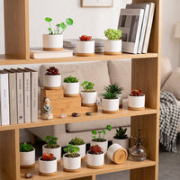 Plant Pots for Indoor Plants and Home Office Decor, Round Glazed Indoor Plant Pot with Bamboo Saucer, Small Plant Pot, Gift for Plant Lovers