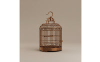 Round Bird Cage Indoor Birdcage Practical for Home