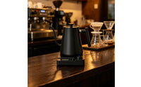 Matte Black Electric Gooseneck Kettle 304 Stainless Steel Gooseneck Electric Kettle Precision Pour Water Boiler Digital Thermostat for Coffee Lovers, Baristas, Kitchen, Office